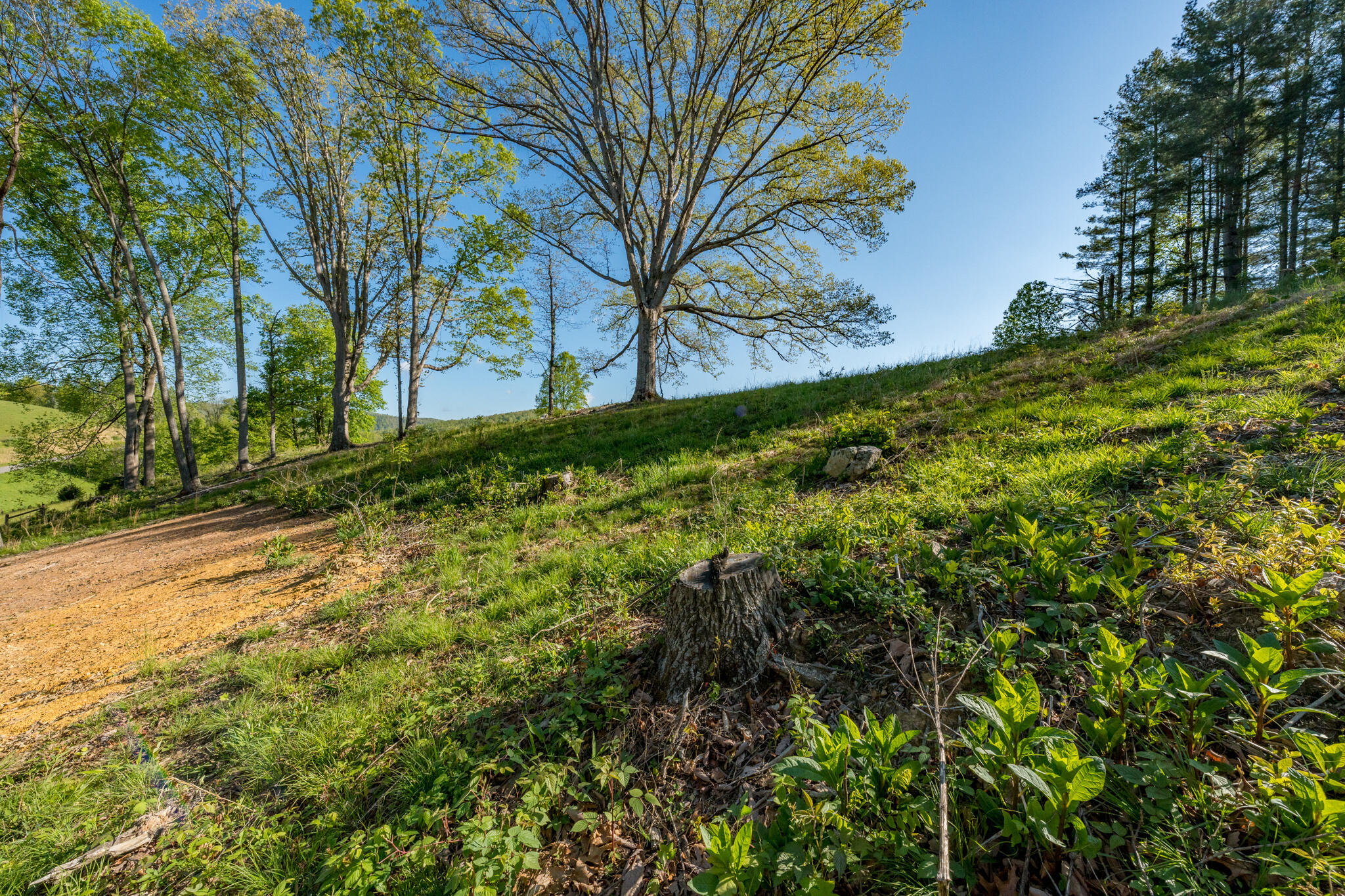 Lot 2 West Of Dry Hill Road, Unit 2 Butler, TN 37640 - Photo 21 of 51 TBD Eagle Ridge LOT 2 (23 of 27)