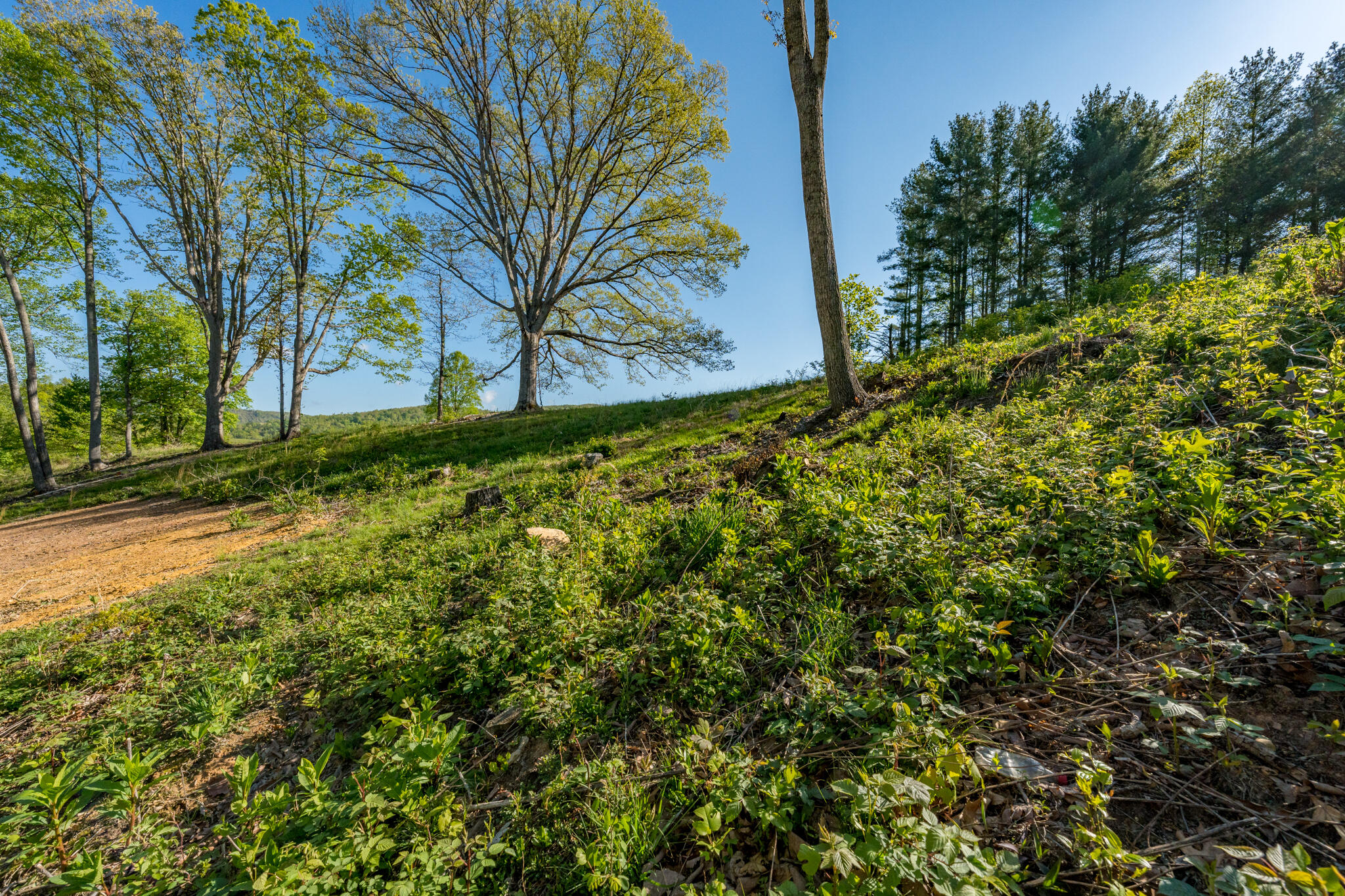 Lot 2 West Of Dry Hill Road, Unit 2 Butler, TN 37640 - Photo 22 of 51 TBD Eagle Ridge LOT 2 (24 of 27)