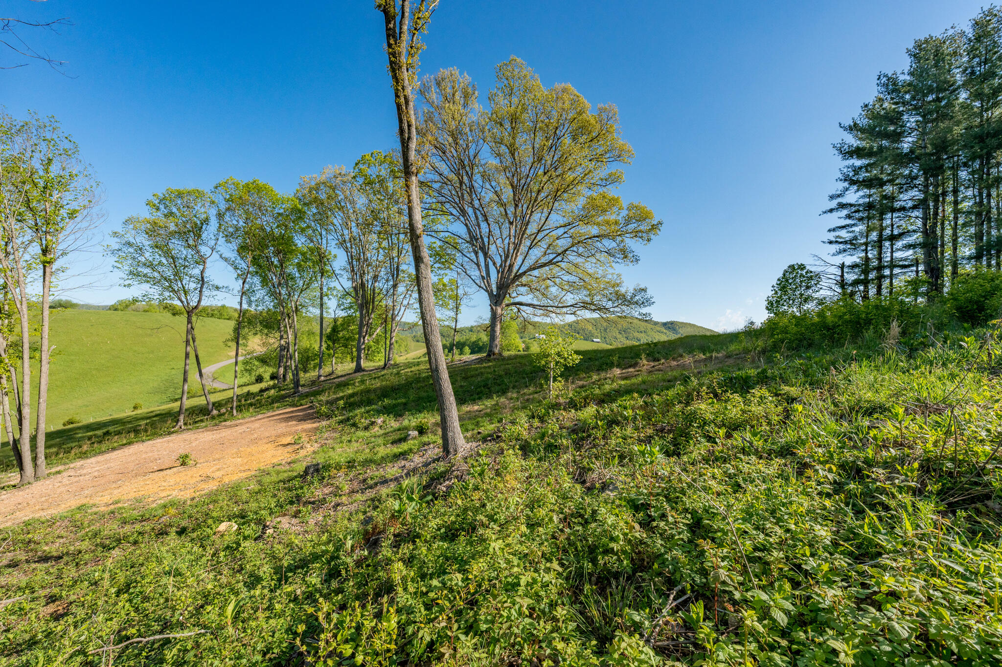 Lot 2 West Of Dry Hill Road, Unit 2 Butler, TN 37640 - Photo 23 of 51 TBD Eagle Ridge LOT 2 (25 of 27)