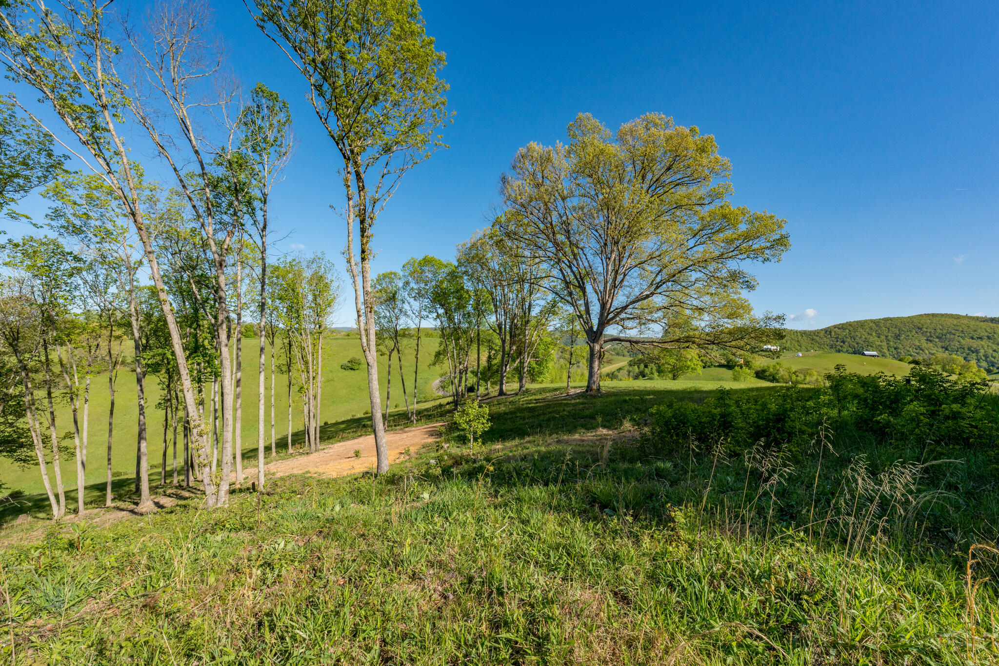 Lot 2 West Of Dry Hill Road, Unit 2 Butler, TN 37640 - Photo 24 of 51 TBD Eagle Ridge LOT 2 (26 of 27)