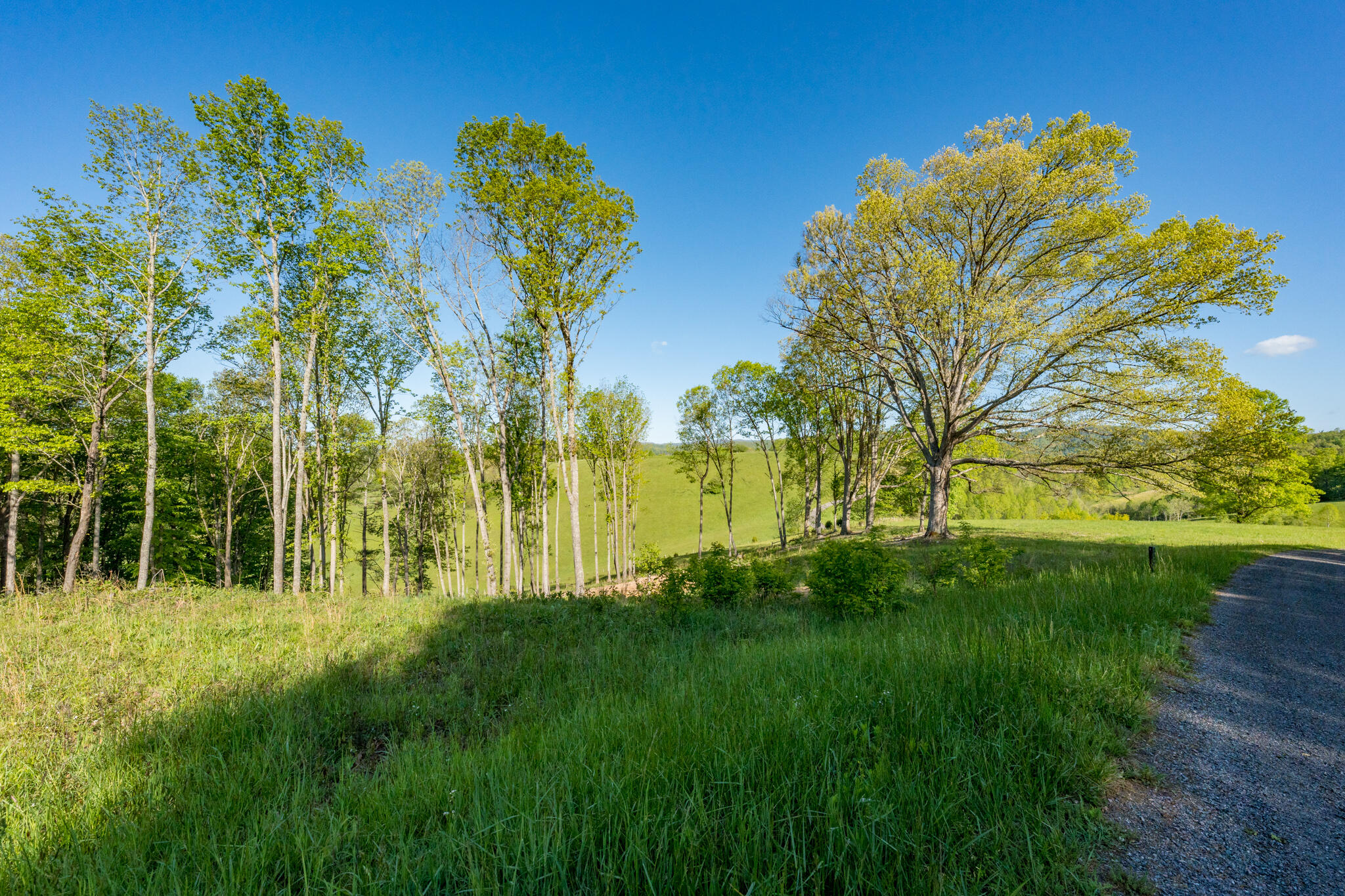 Lot 2 West Of Dry Hill Road, Unit 2 Butler, TN 37640 - Photo 25 of 51 TBD Eagle Ridge LOT 2 (27 of 27)