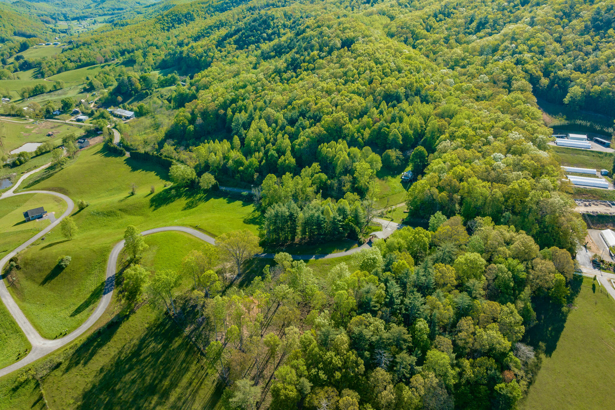 Lot 2 West Of Dry Hill Road, Unit 2 Butler, TN 37640 - Photo 6 of 51 TBD Eagle Ridge LOT 2 (6 of 27)