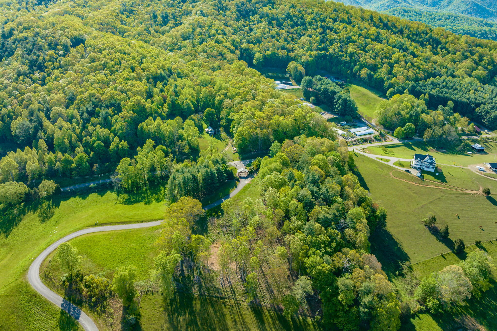 Lot 2 West Of Dry Hill Road, Unit 2 Butler, TN 37640 - Photo 10 of 51 TBD Eagle Ridge LOT 2 (10 of 27)