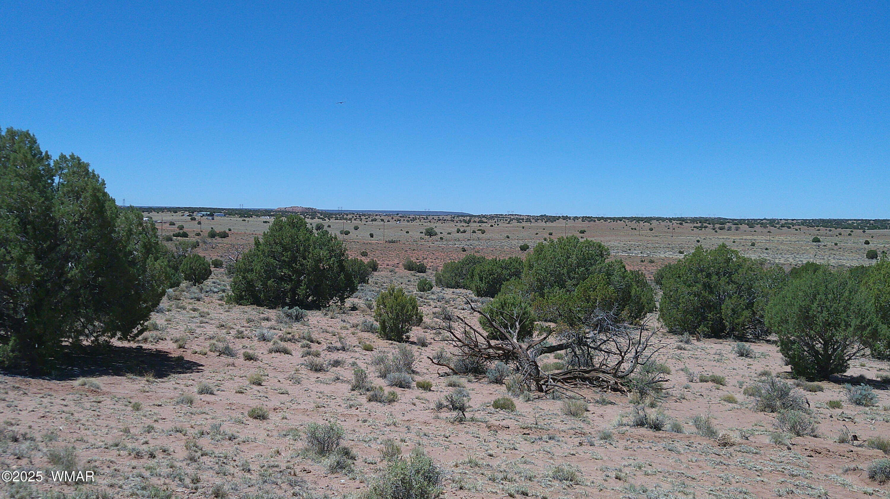 Tbd Tbd Rio Ranch Concho, AZ 85924 - Photo 20 of 44 DSCF0036