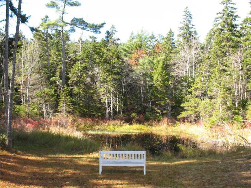 23 Denning Brook Road Mount Desert, ME 04660 - Photo 8 of 14 Yard/Garden.