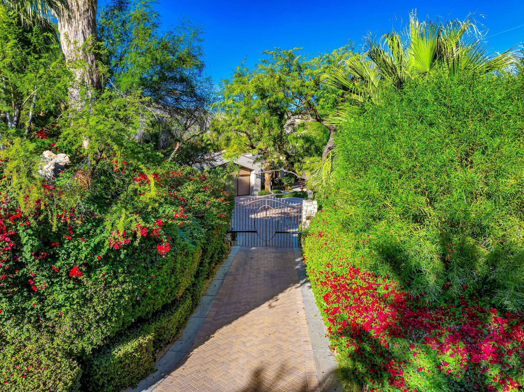 100 Lantana View Palm Desert, CA 92260 - Photo 92 of 121 a view of a pathway covered with flower plants