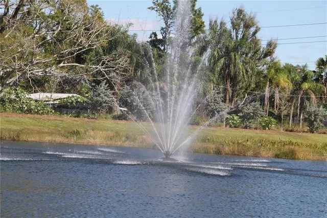 a view of a yard with a fountain