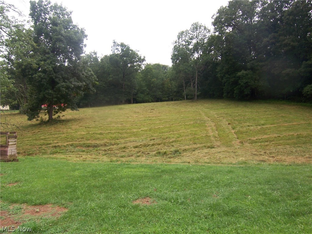 285 North Fork Road Washington, WV 26181 - Photo 6 of 23 pasture field