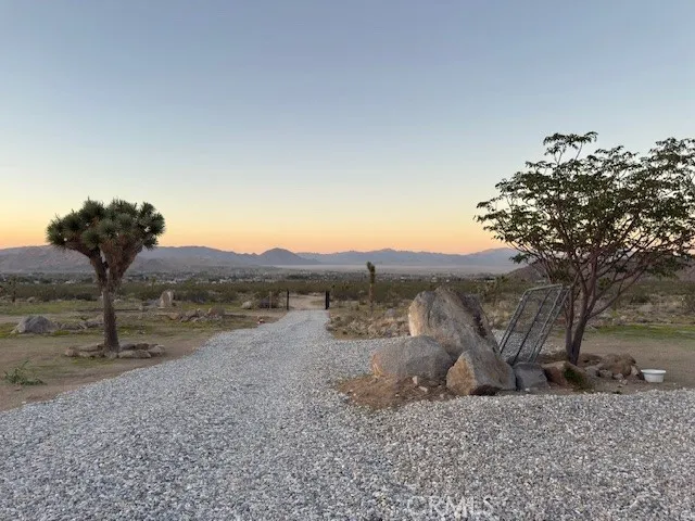 a view of a dry yard with wooden fence
