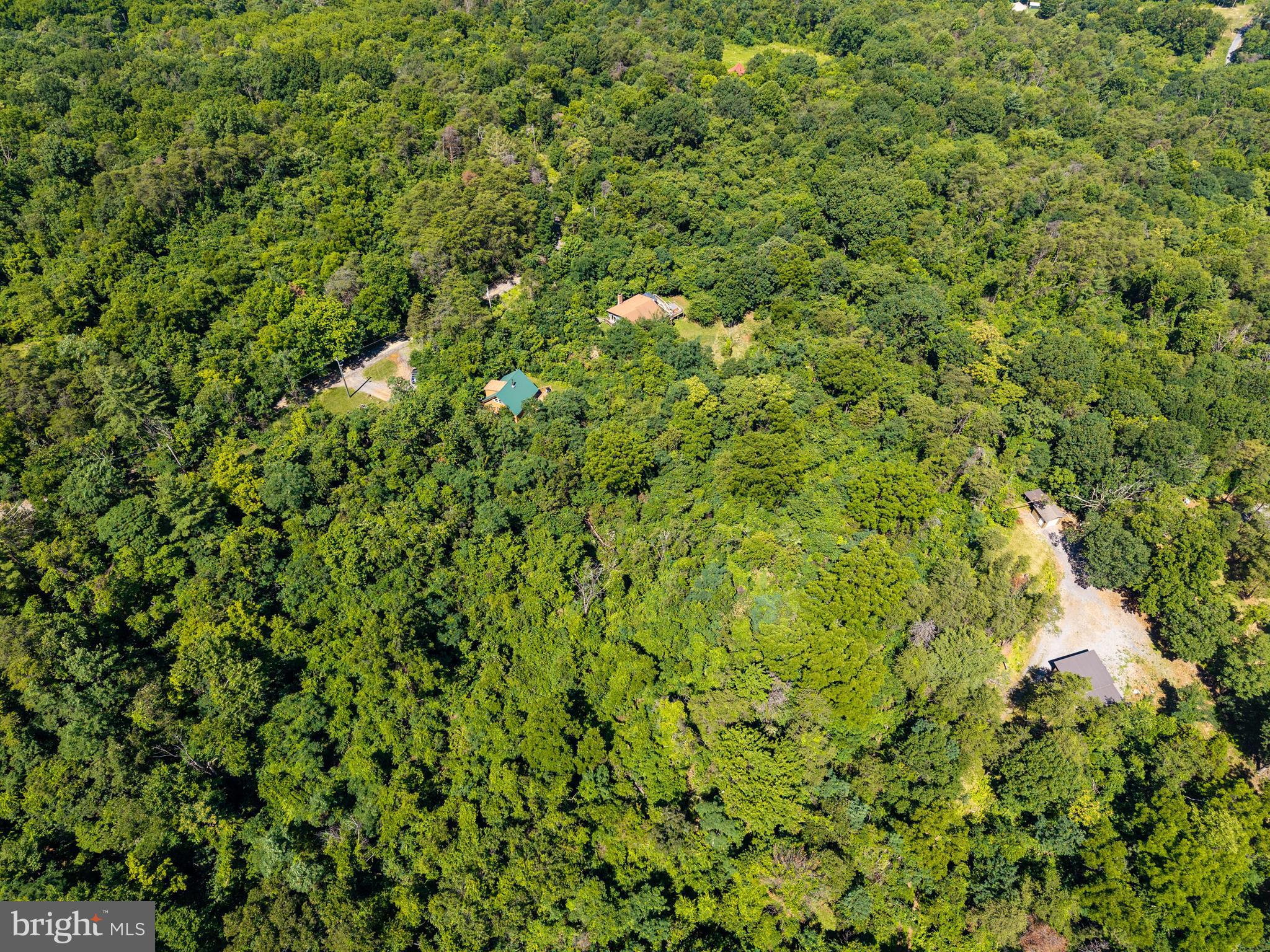 707 Overlook Drive Rileyville, VA 22650 - Photo 88 of 94