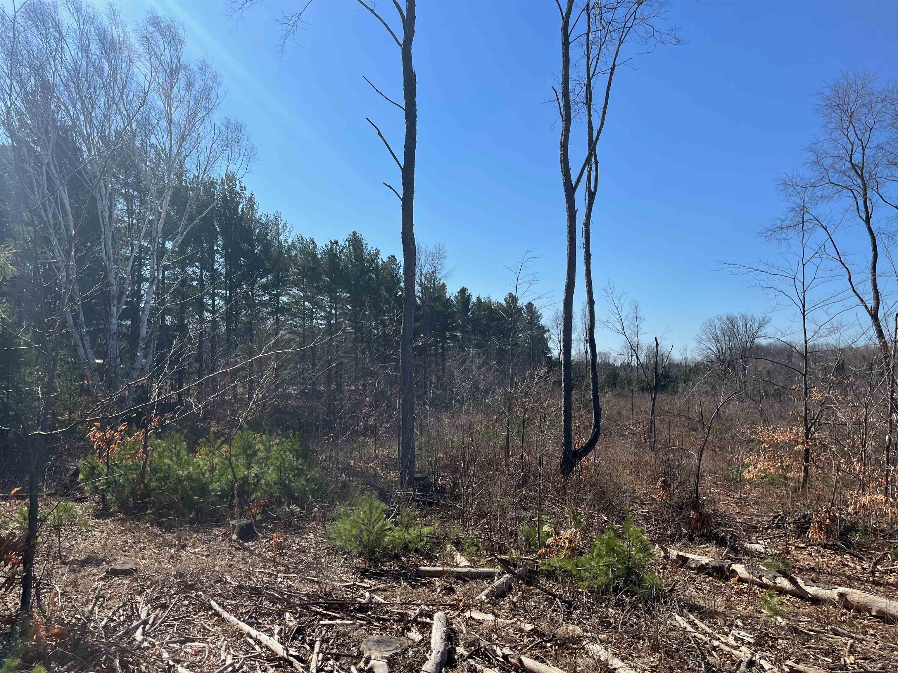 4 King Road, Unit LOT: 4 Benzonia, MI 49616 - Photo 3 of 12