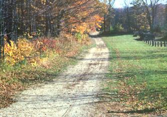 20 Pigeon River Road Cleveland, WI 53015 - Photo 1 of 1 Driveway