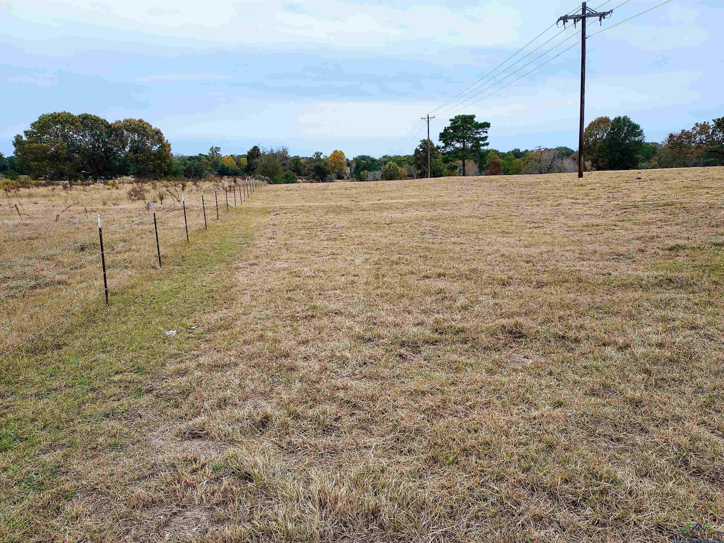Tbd Almond Road Big Sandy, TX 75755 - Photo 12 of 36 Gallery Image 12