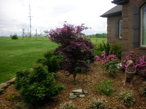 2528 Pigeon Ridge Road Crossville, TN 38555 - Photo 7 of 29 Additional Photo