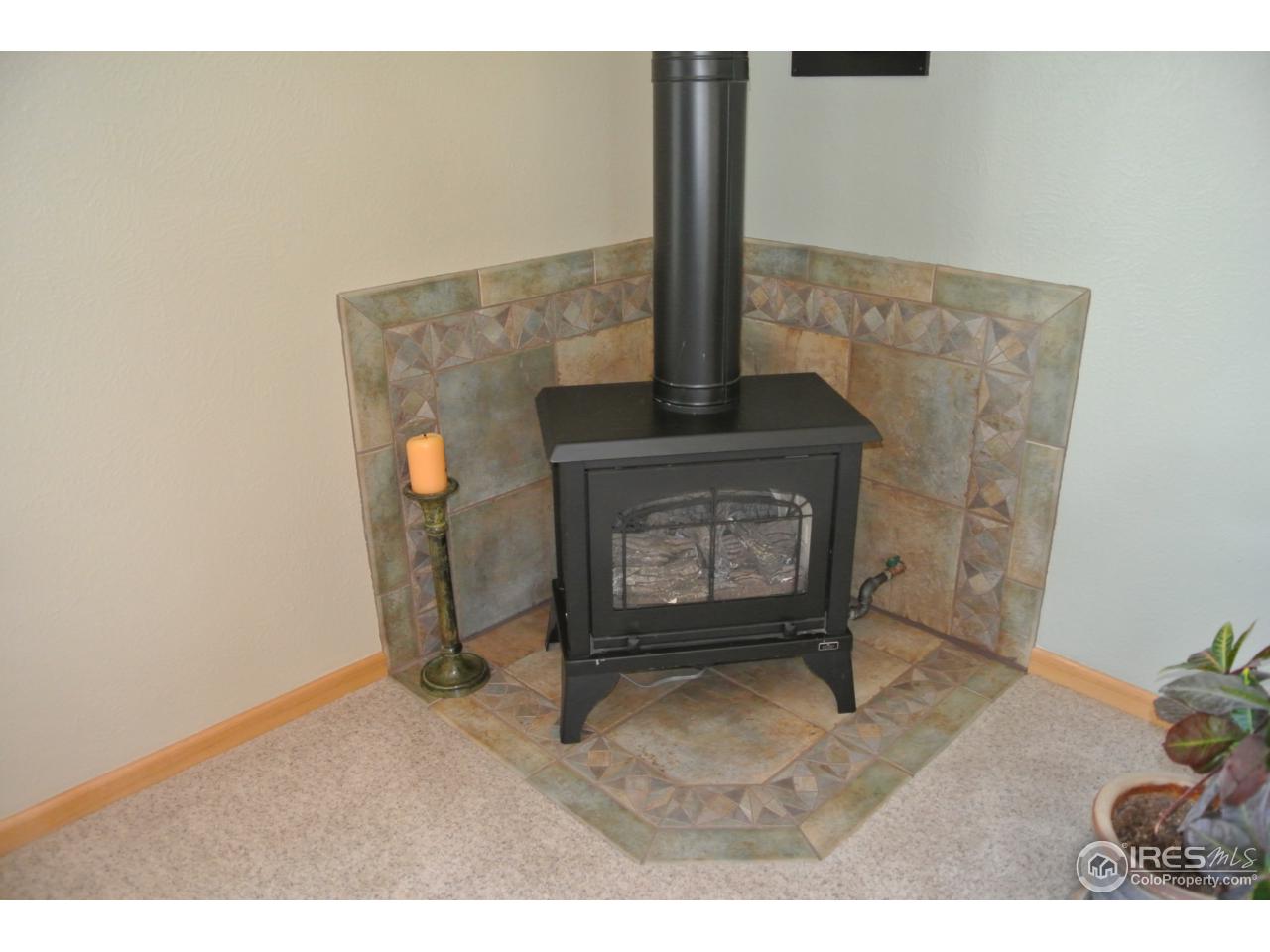 2913 Lake Hollow Road Berthoud, CO 80513 - Photo 14 of 35 Free-standing gas fireplace