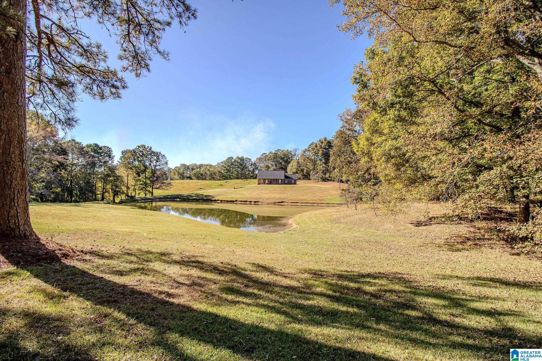 193 Brown Street Heflin, AL 36264 - Photo 55 of 57