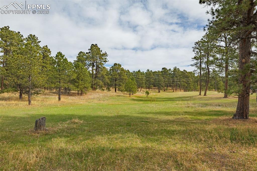 13354 Meridian Road Elbert, CO 80106 - Photo 25 of 46