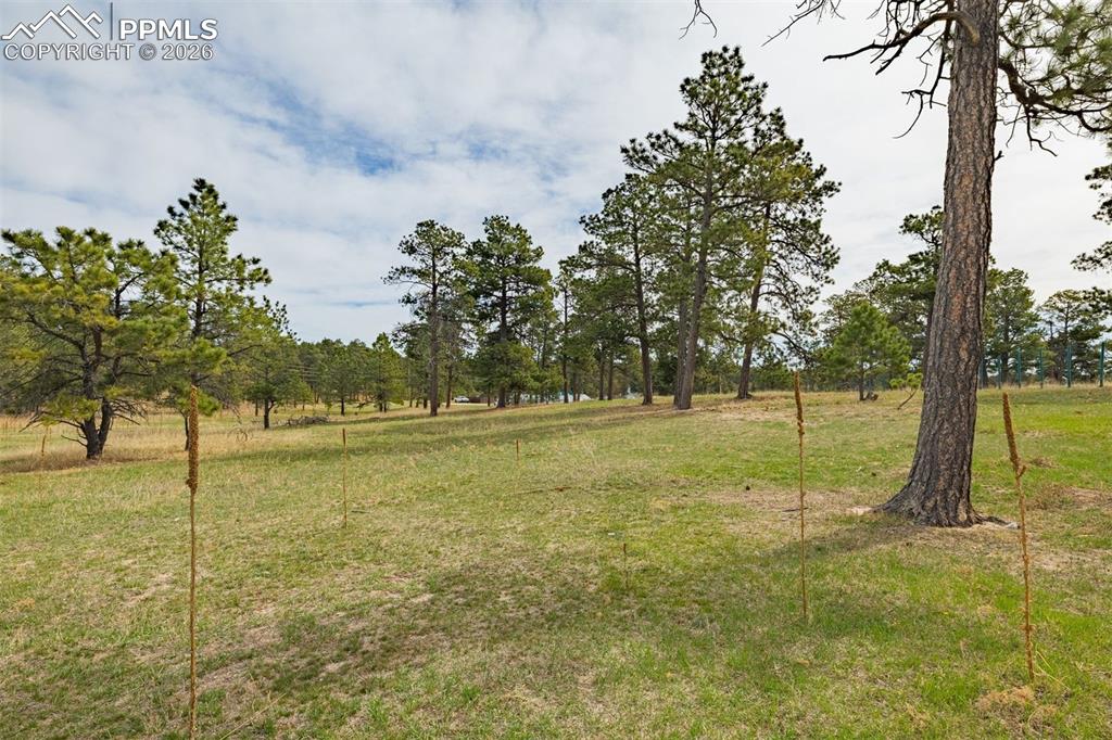 13354 Meridian Road Elbert, CO 80106 - Photo 26 of 46