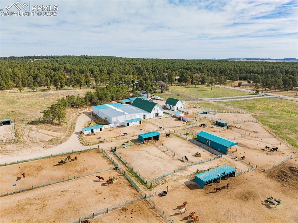 13354 Meridian Road Elbert, CO 80106 - Photo 3 of 46