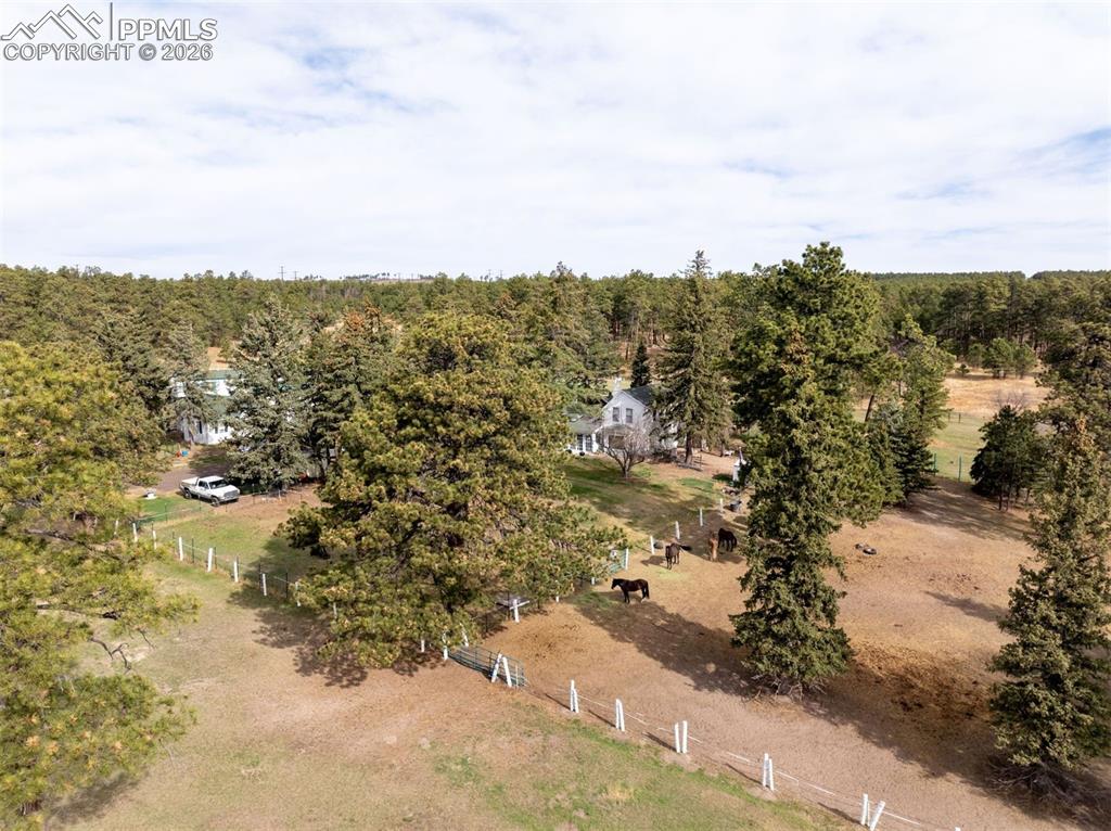 13354 Meridian Road Elbert, CO 80106 - Photo 35 of 46