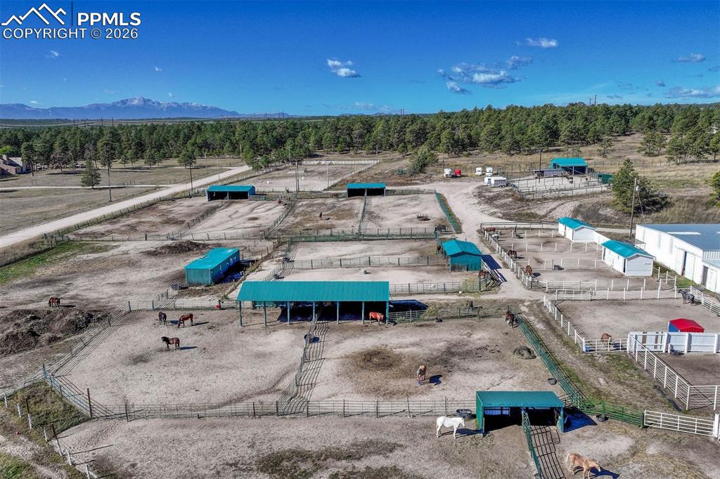 13354 Meridian Road Elbert, CO 80106 - Photo 42 of 46