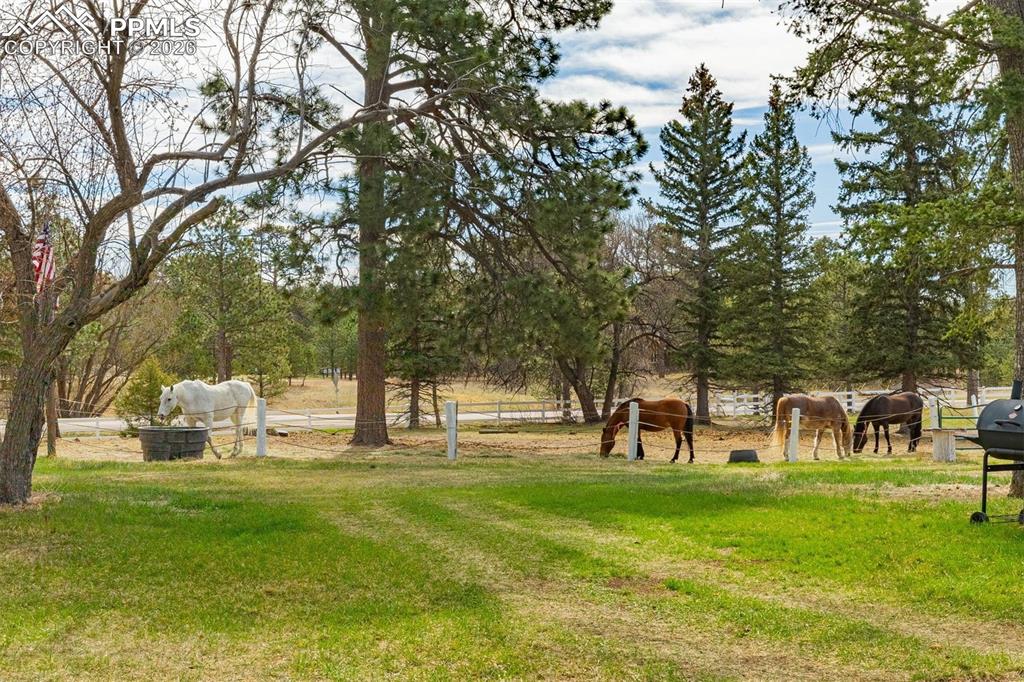 13354 Meridian Road Elbert, CO 80106 - Photo 7 of 46