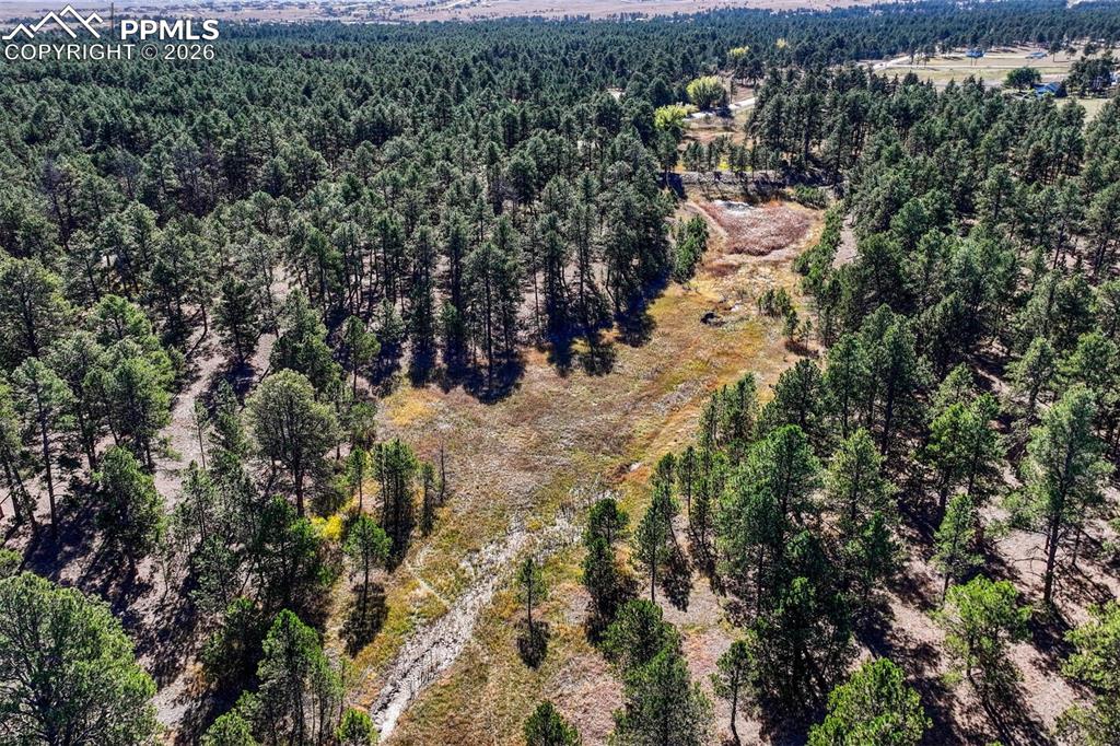 13354 Meridian Road Elbert, CO 80106 - Photo 9 of 46