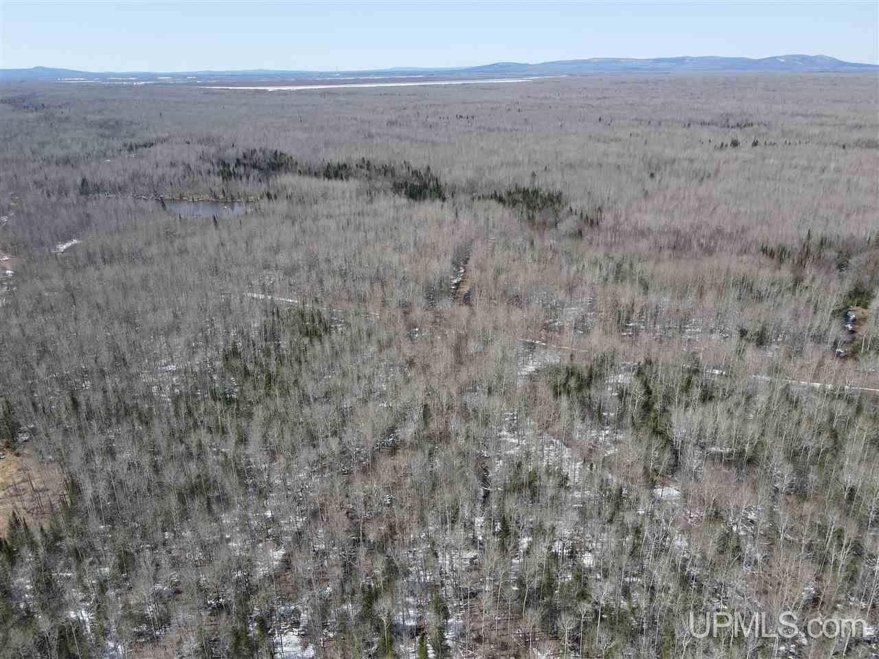 Tbd Bolo Road Marenisco, MI 49947 - Photo 6 of 14