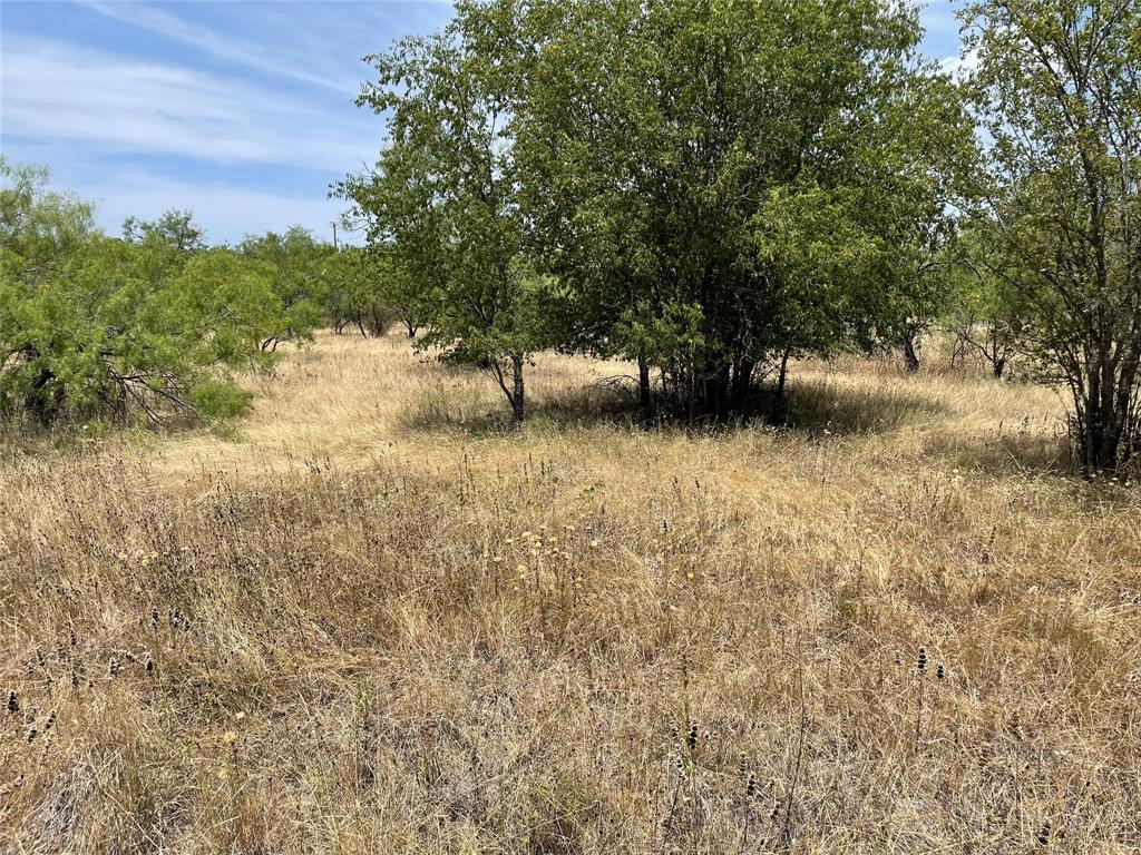 Tbd Cr 316 Road Breckenridge, TX 76424 - Photo 2 of 4