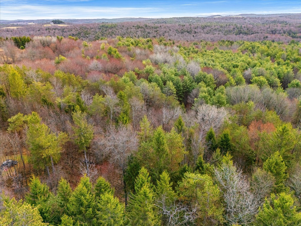 240 Benedict Road Bainbridge, NY 13733 - Photo 40 of 43 Gallery Image 40