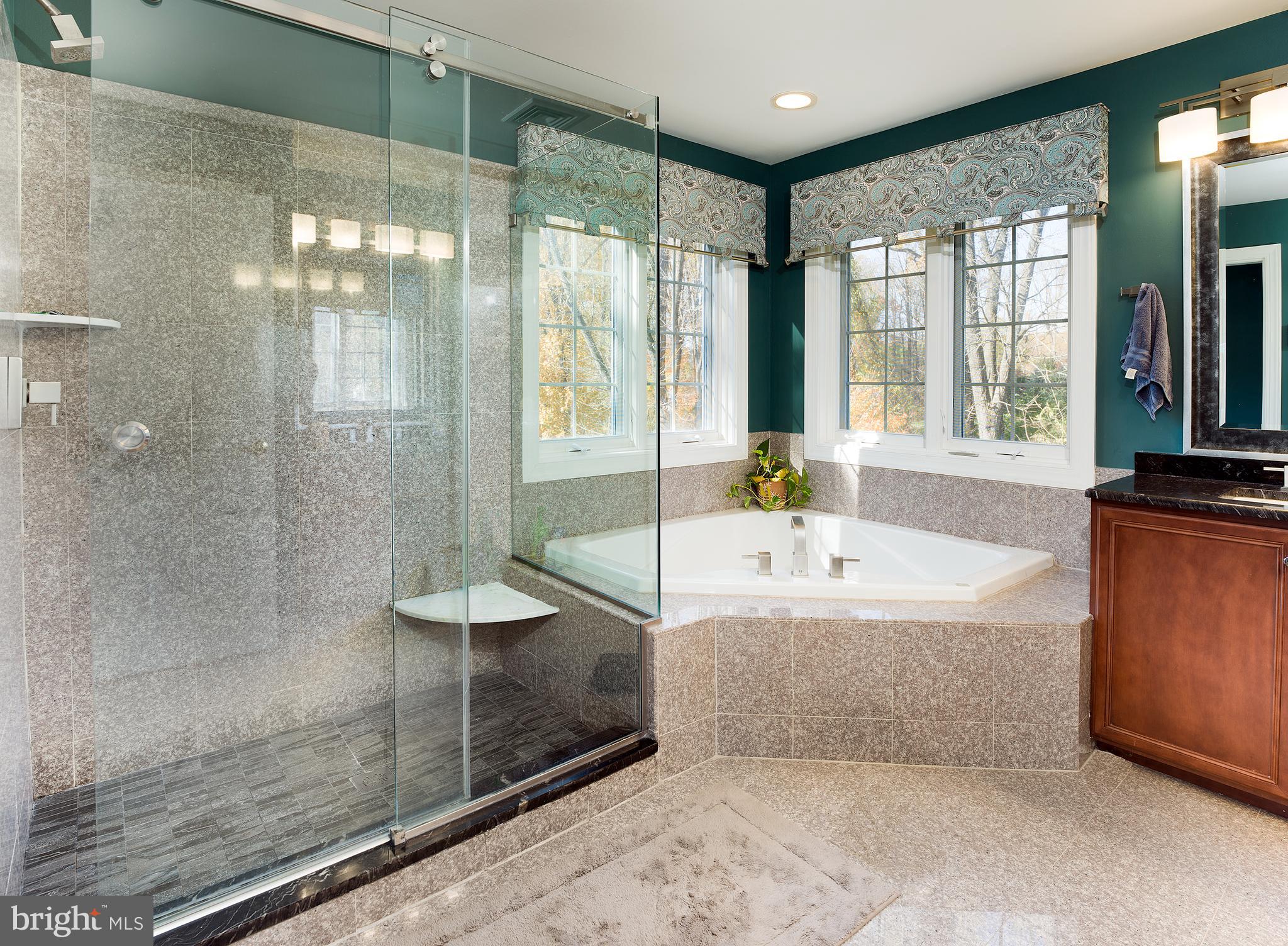 123 Springtree Road Newtown Square, PA 19073 - Photo 21 of 43 Primary Bathroom