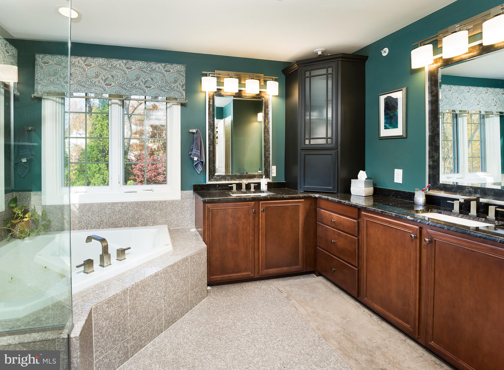 123 Springtree Road Newtown Square, PA 19073 - Photo 22 of 43 Primary Bathroom