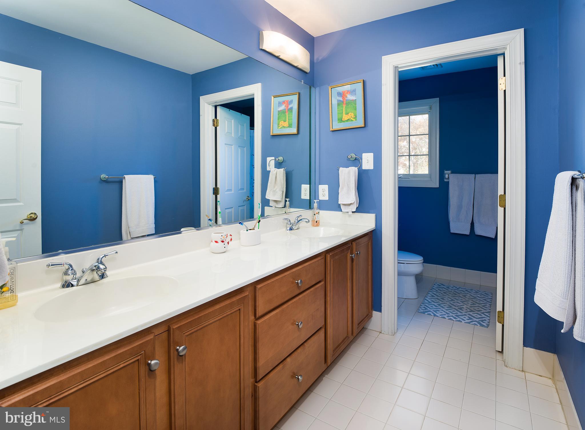 123 Springtree Road Newtown Square, PA 19073 - Photo 27 of 43 Bathroom