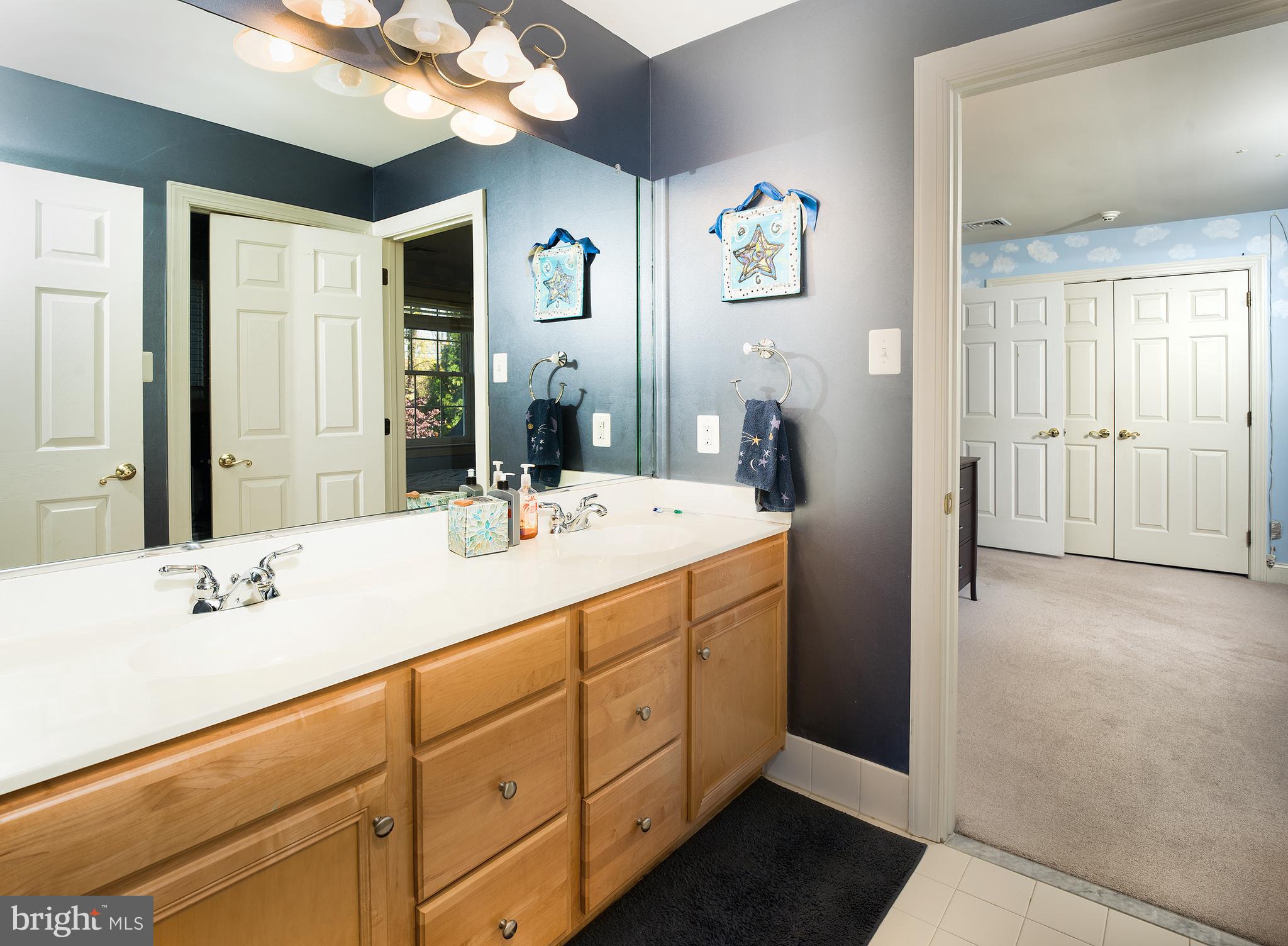 123 Springtree Road Newtown Square, PA 19073 - Photo 28 of 43 Bathroom