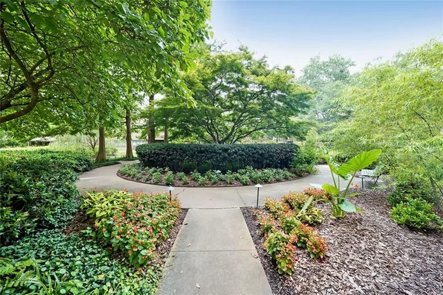 a view of a garden with pathway