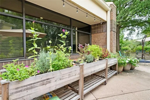 a house with potted plants in front of it