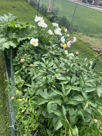 $575,000 | 1304 155th Lane Northwest, Andover, MN 55304