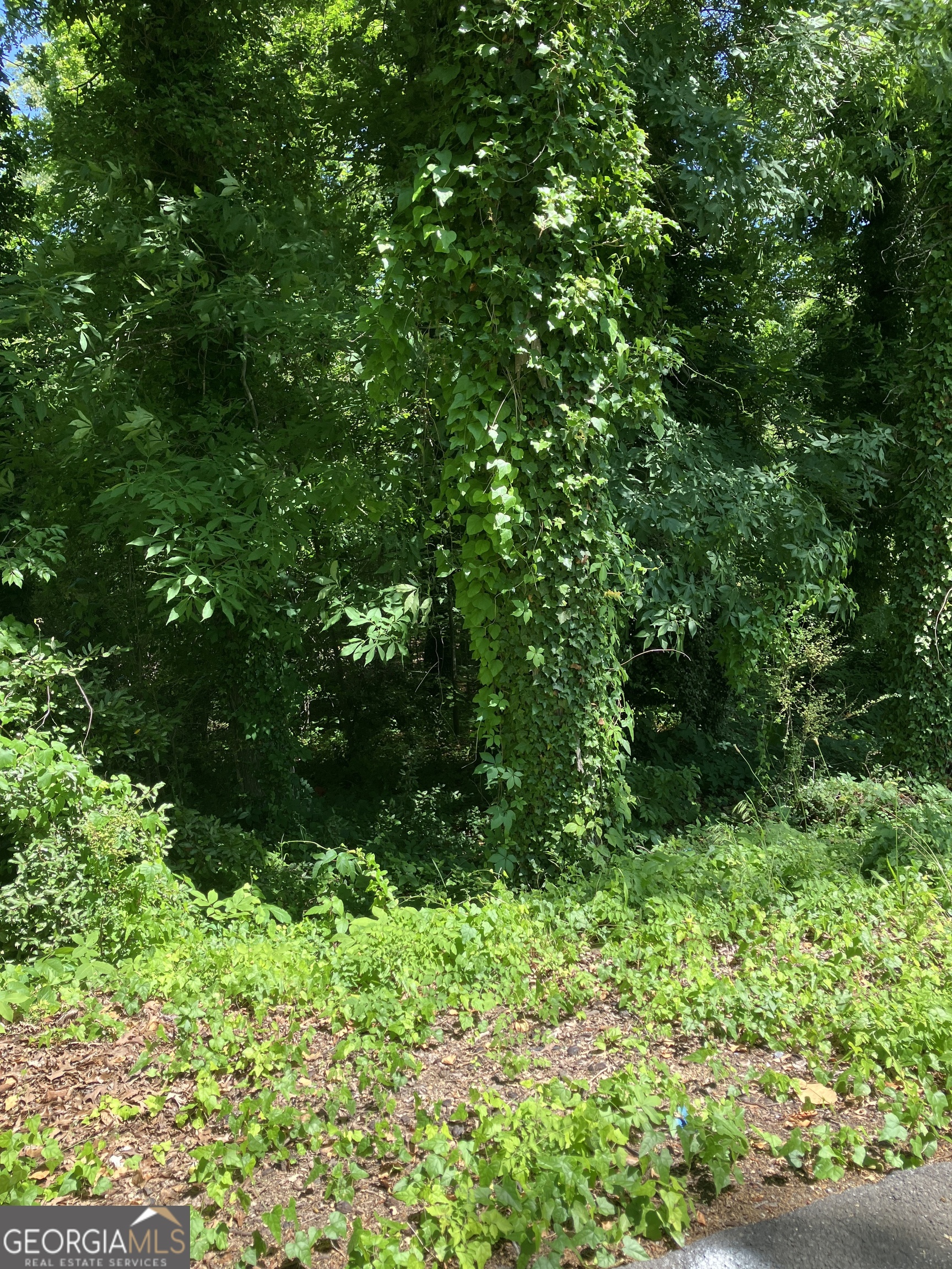 0 Battey Drive Rome, GA 30161 - Photo 3 of 5