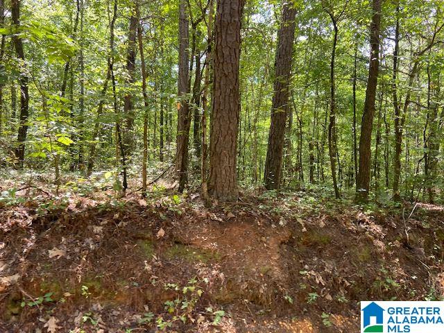0 County Road 89, Unit 1 Clanton, AL 35046 - Photo 5 of 17