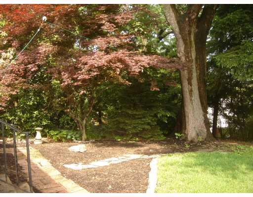 1111 Prospect Road Whitehall, PA 15227 - Photo 7 of 8 Land/Lot. TREED REAR YARD FOR YOUR ENJOYMENT.