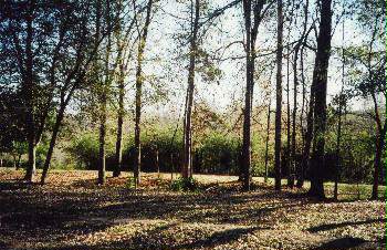 Lot #6 Nettles Road Pendleton, SC 29670 - Photo 1 of 3 Gallery Image 1