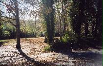 Lot #6 Nettles Road Pendleton, SC 29670 - Photo 2 of 3 Gallery Image 2