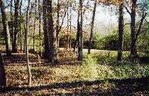 Lot #6 Nettles Road Pendleton, SC 29670 - Photo 3 of 3 Gallery Image 3