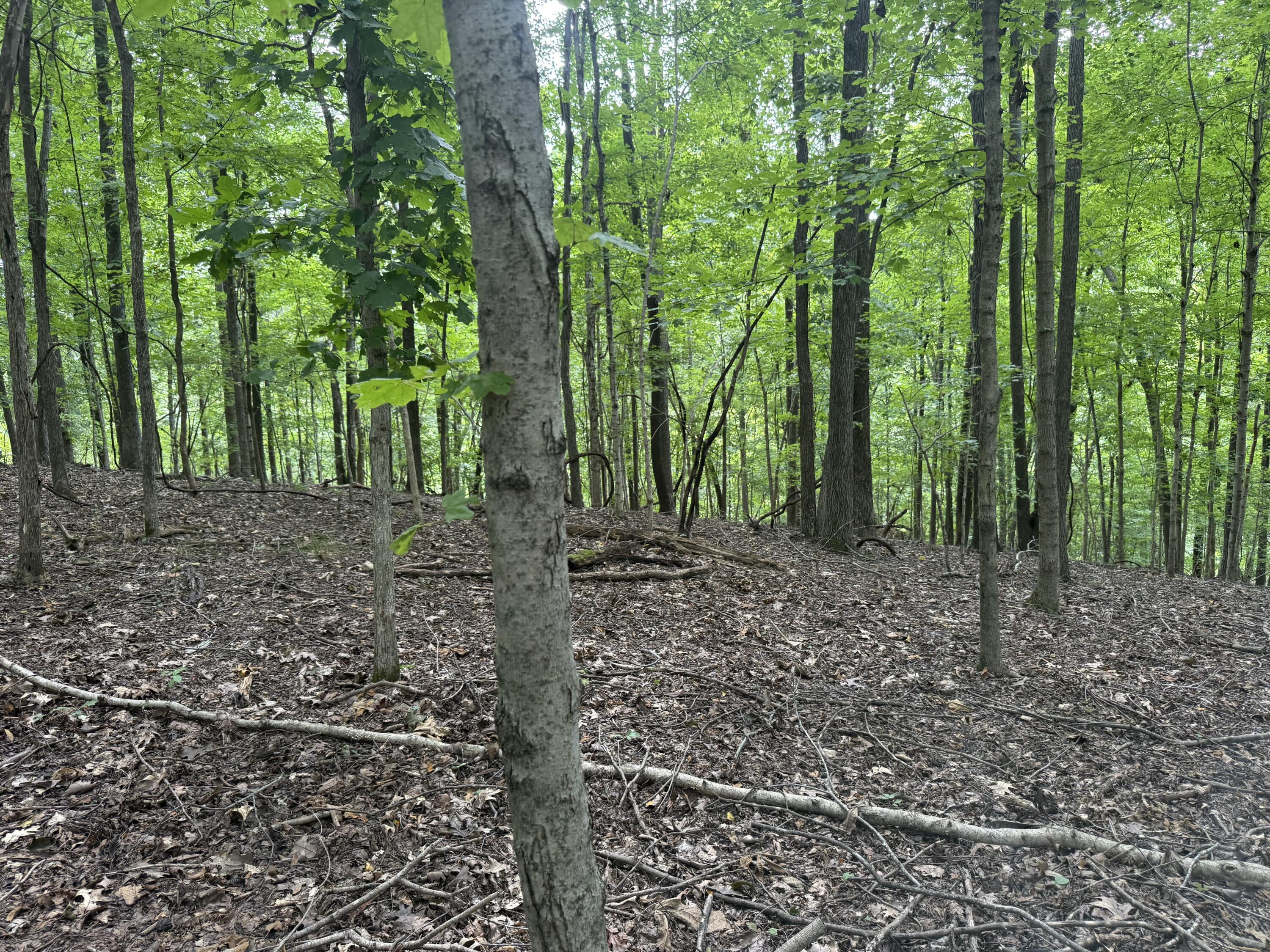 0 Perry Springs Road Eddyville, KY 42038 - Photo 24 of 41 20