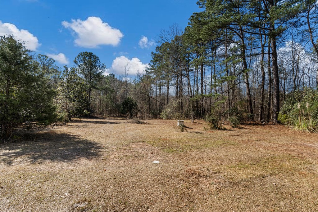 19110 Ga Highway Shiloh, GA 31826 - Photo 15 of 15 a view of road and trees