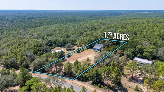 a view of a forest with a sink
