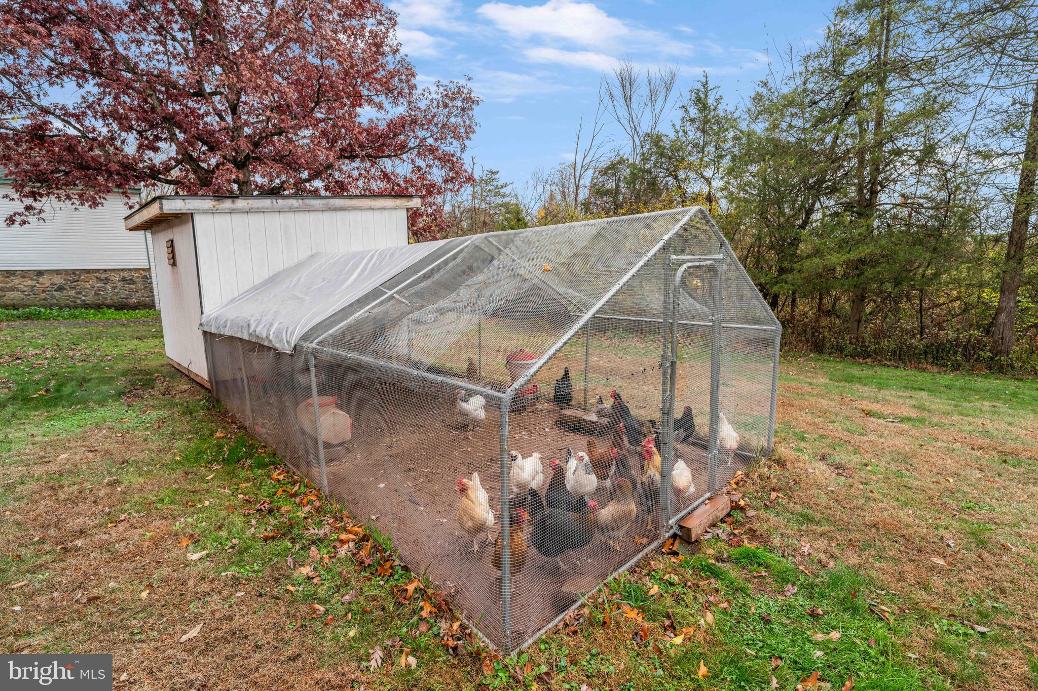 100 Pineland Road Birdsboro, PA 19508 - Photo 23 of 67 Hen House