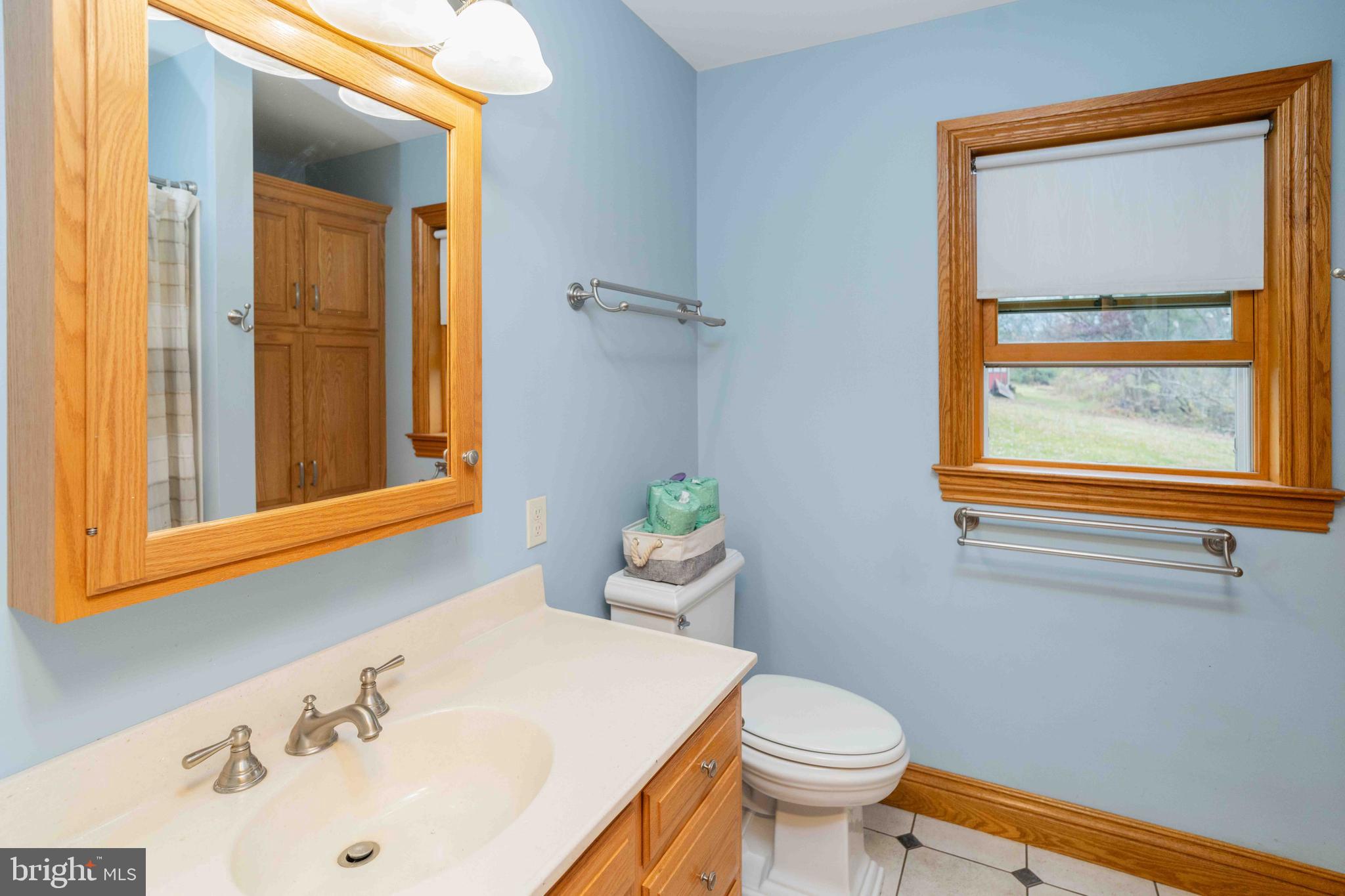 100 Pineland Road Birdsboro, PA 19508 - Photo 39 of 67 Master Bath