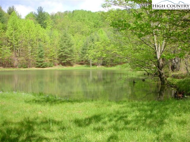 1292 Ben Miller Road Deep Gap, NC 28618 - Photo 30 of 31 a view of lake view