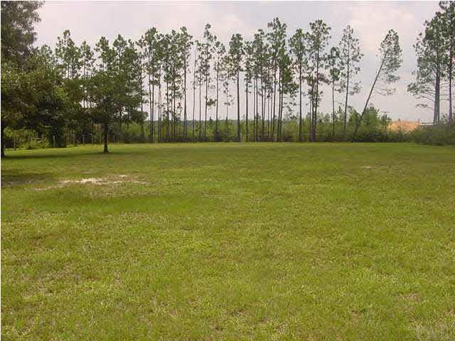 2551 Renfroe Road Pace, FL 32571 - Photo 4 of 14 View of rear yard taken from behind Pool.